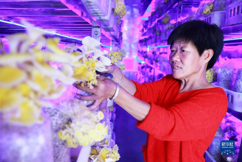 悠悠互娱下载