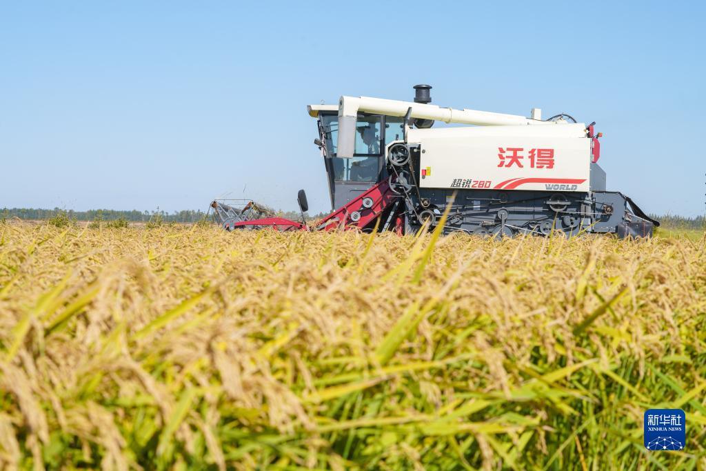 免费送金币斗牛牛